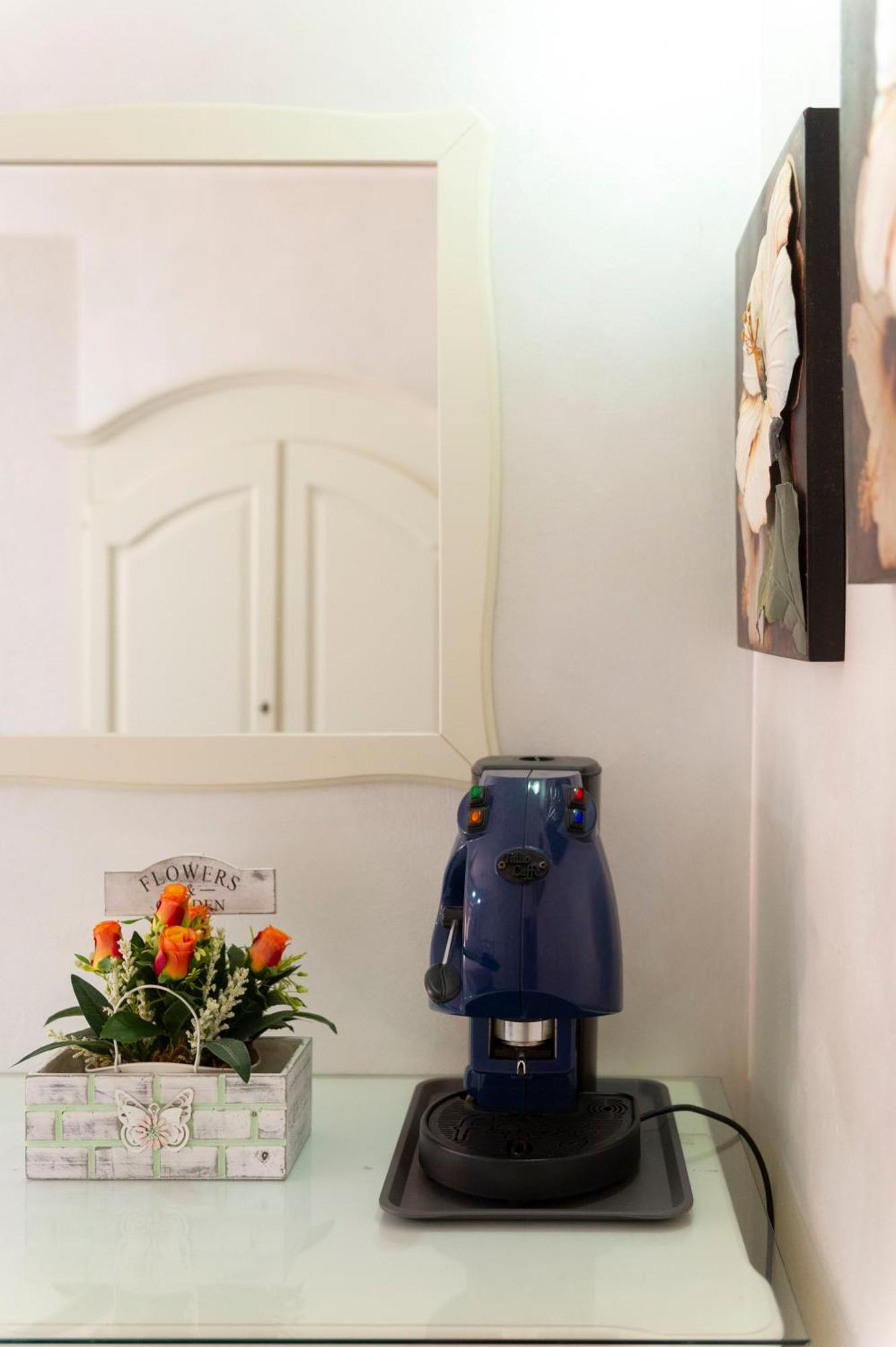 B&B Appartamenti L'Anfora 스펠론가 외부 사진